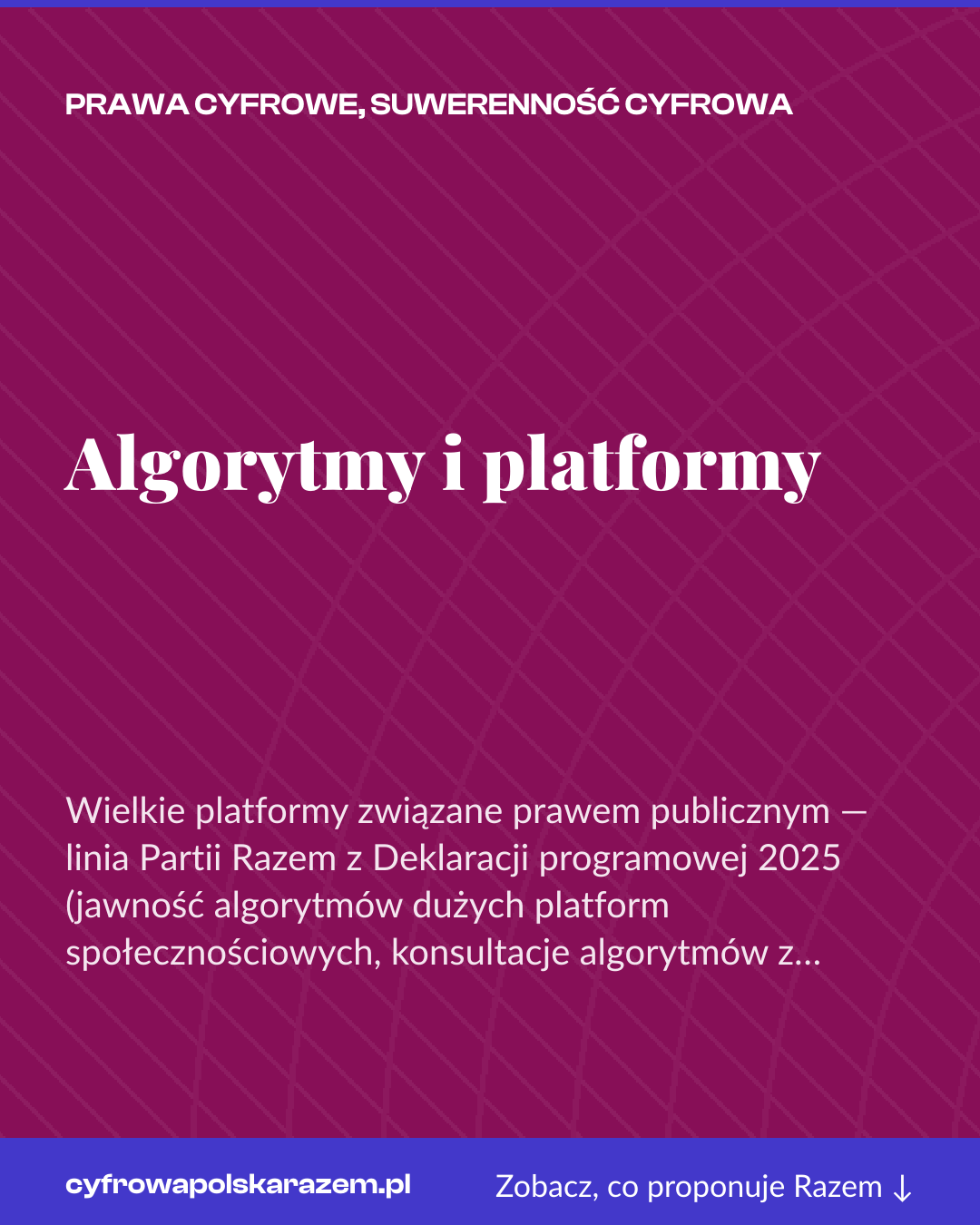 Grafika pionowa do udostępnienia: Algorytmy i platformy
